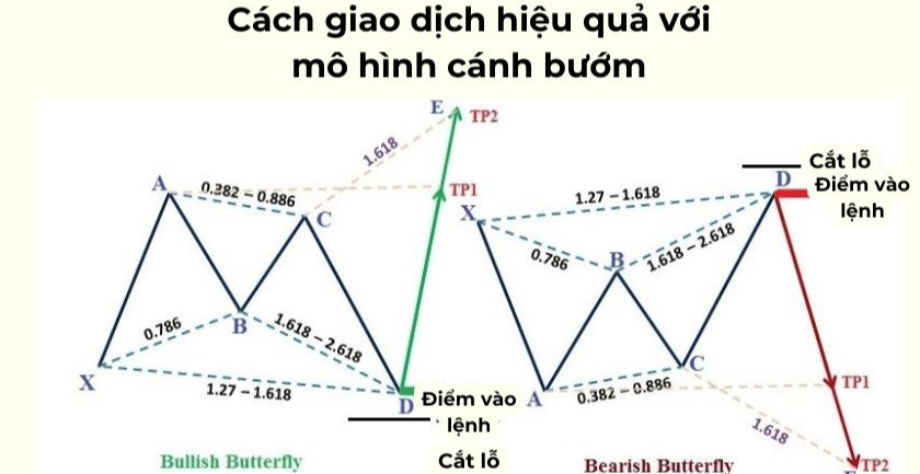 Mô hình cánh bướm trong Forex
